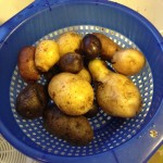 Potatoes to Grow and Eat