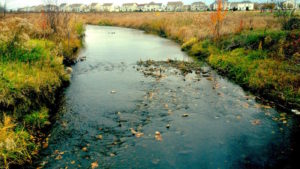 River.Autumn